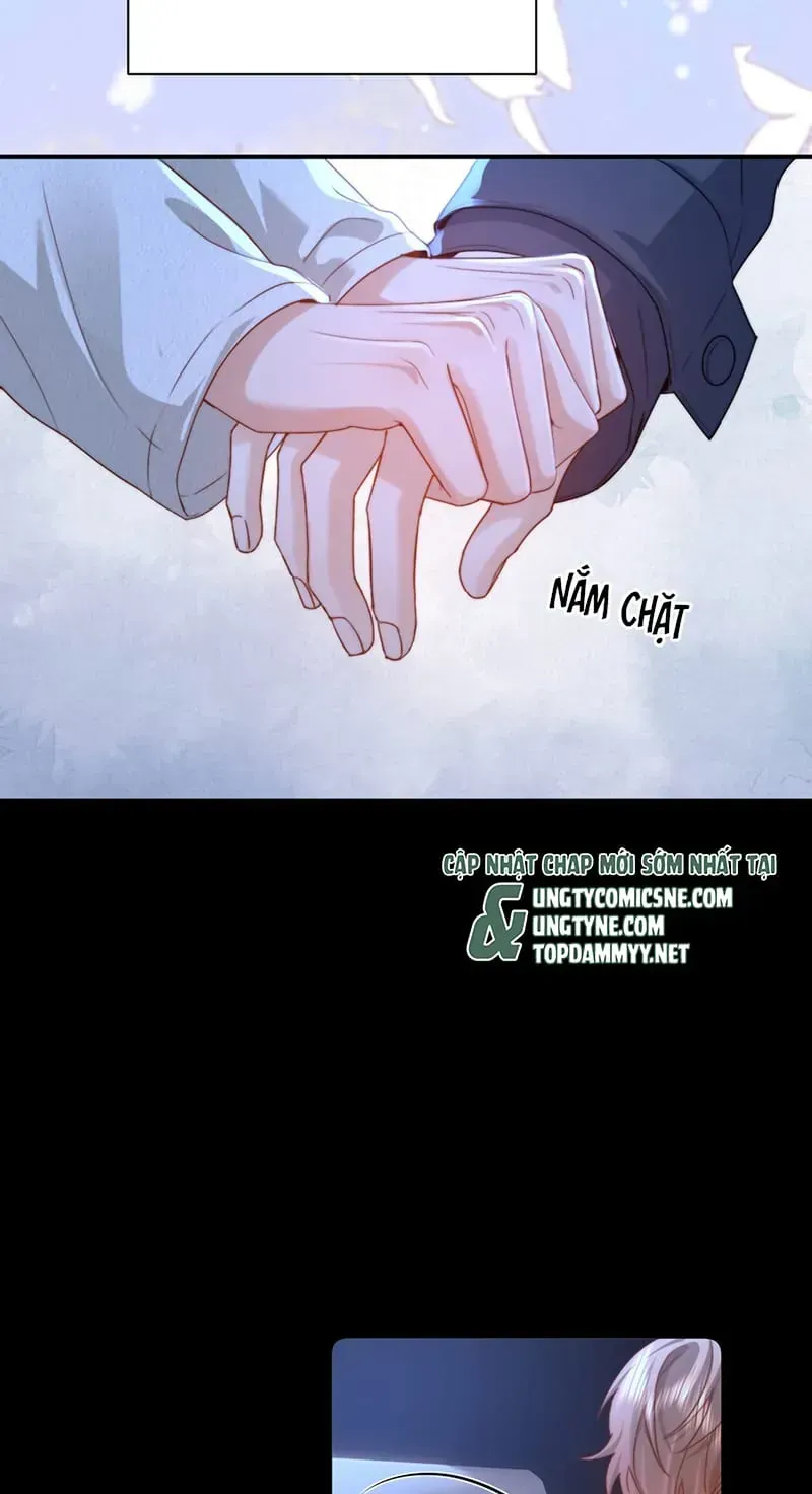 Chất Dị Ứng Đáng Yêu