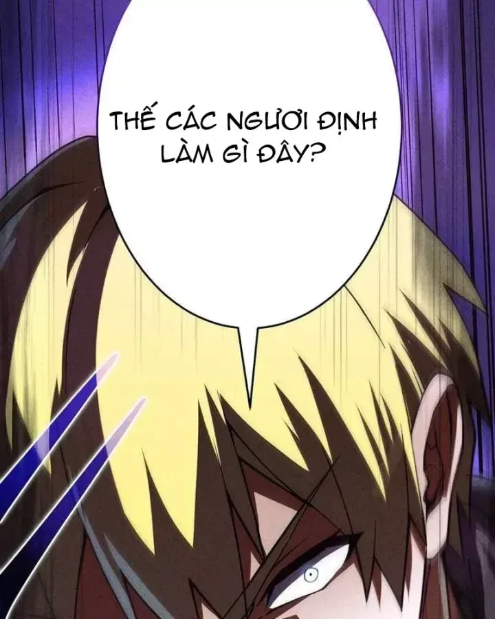 Anh Hùng Tái Xuất Học Viện