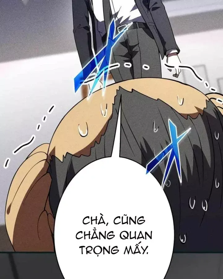 Anh Hùng Tái Xuất Học Viện