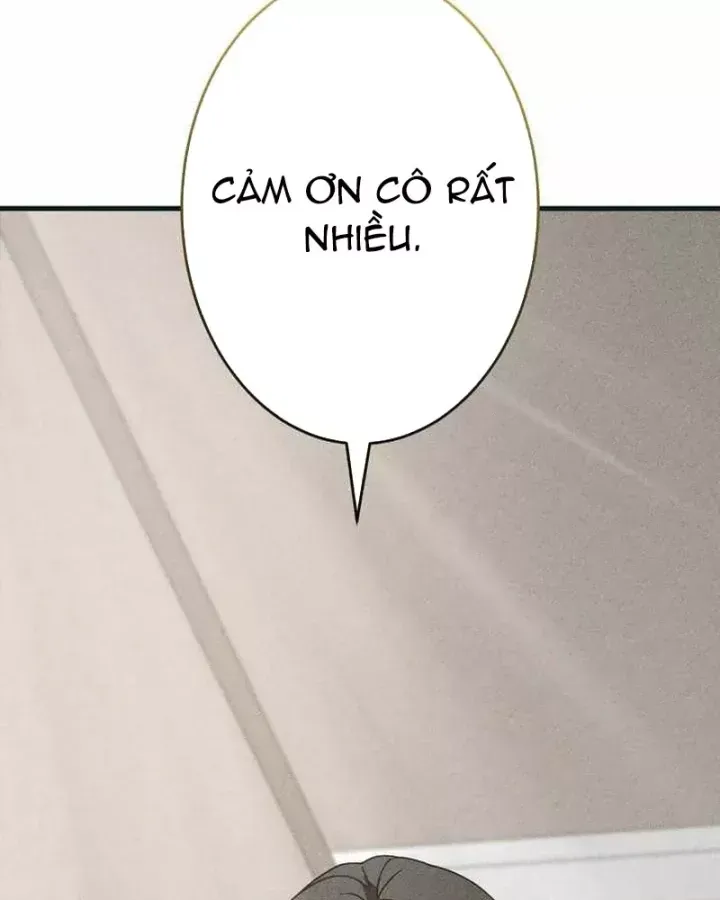 Anh Hùng Tái Xuất Học Viện