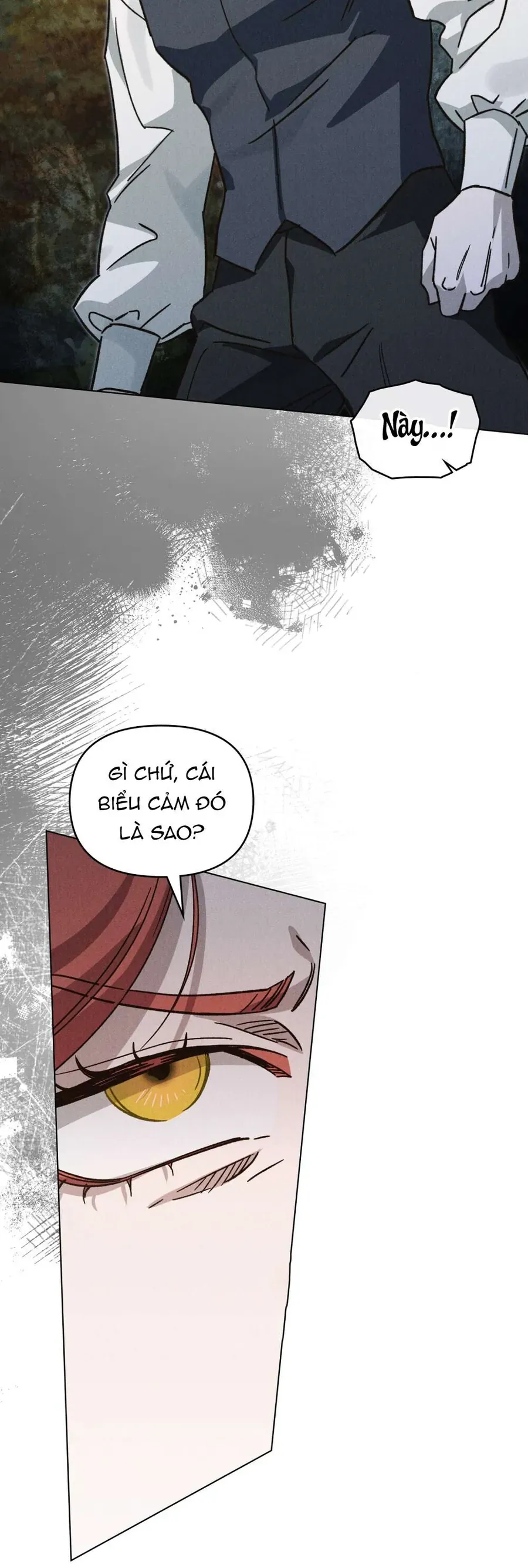 Hồ Điệp Nuốt Chửng Sương Mù - Chương 31 - Trang 8