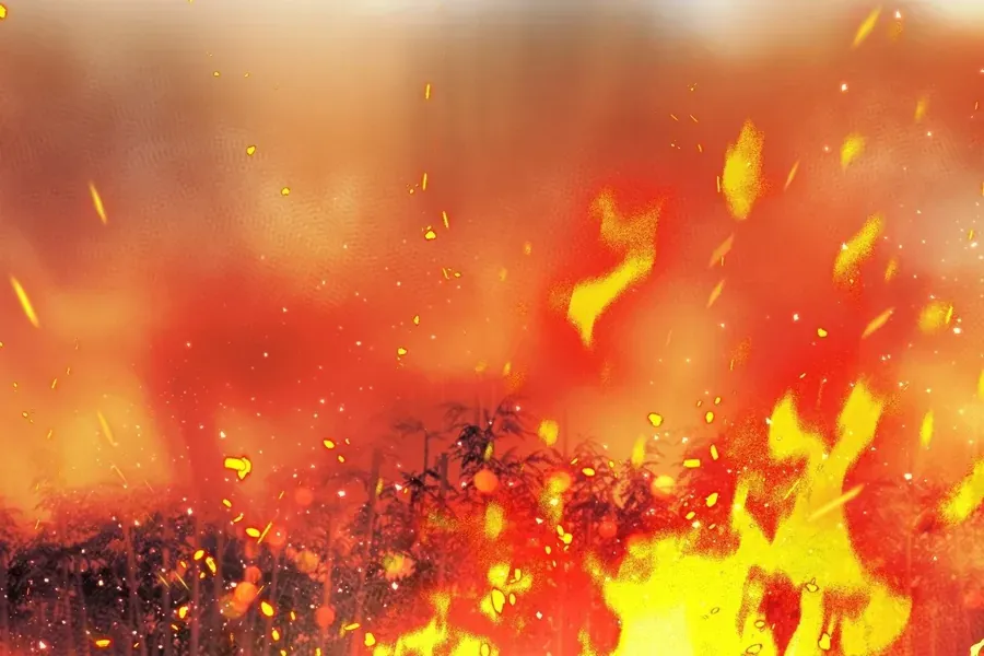 Đường Môn Truyền Kỳ - Chương 43 - Trang 129