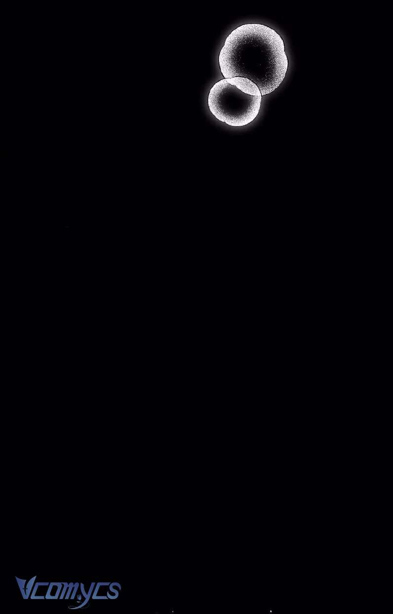 Cùng Làm Những Chuyện Điên Rồ - Chương 8 - Trang 15