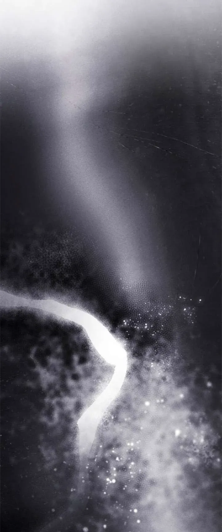 Chỉ Cần Một Người Chồng Là Đủ