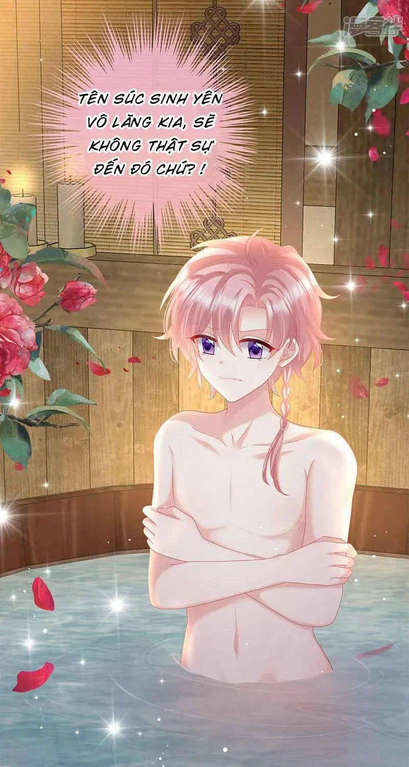 Kiều Phu Có Hỷ - Chương 104 - Trang 42