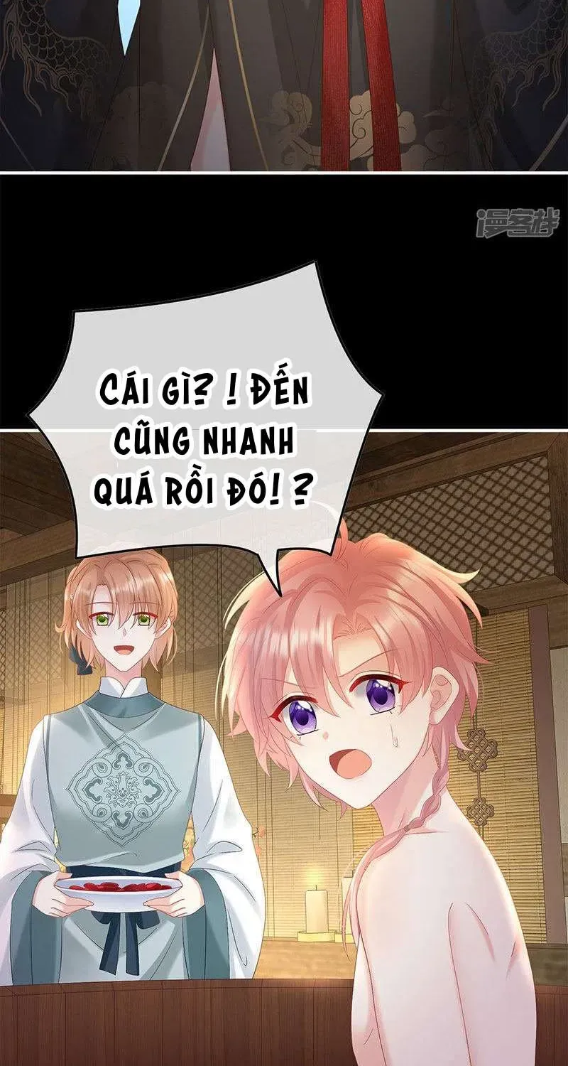 Kiều Phu Có Hỷ - Chương 104 - Trang 47