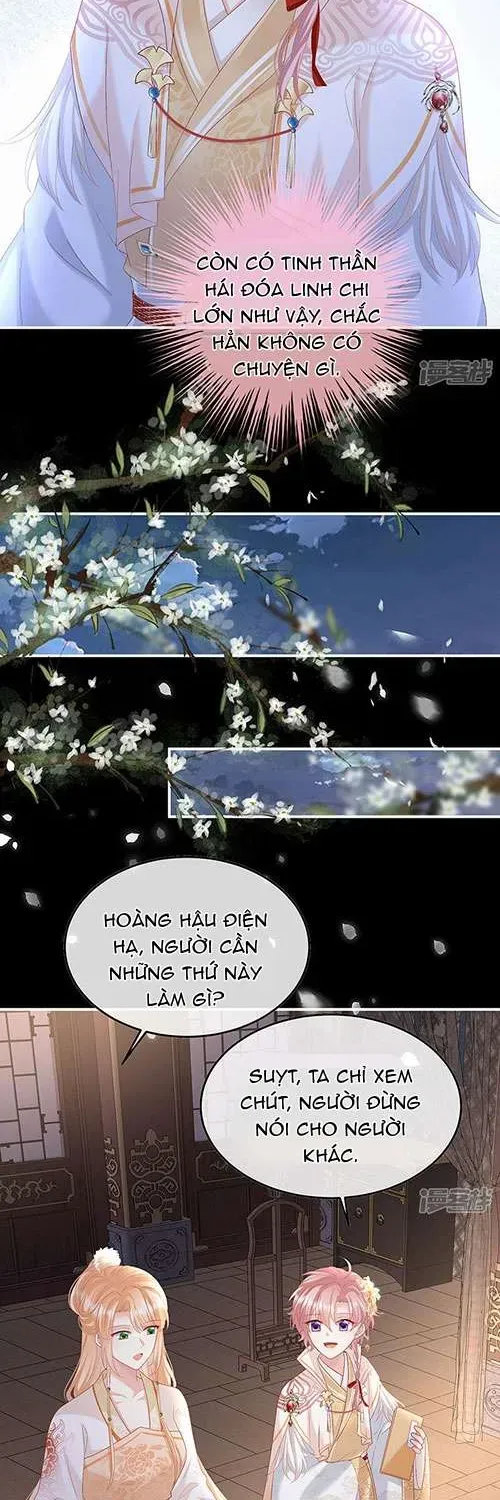 Kiều Phu Có Hỷ - Chương 113 - Trang 4