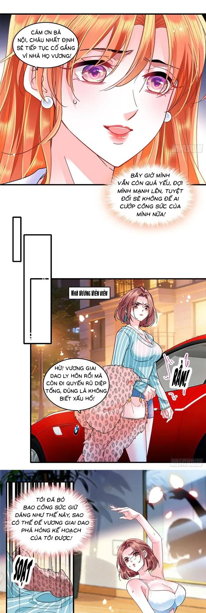 Tỷ Phú Ở Rể Chap 26 - Page 10