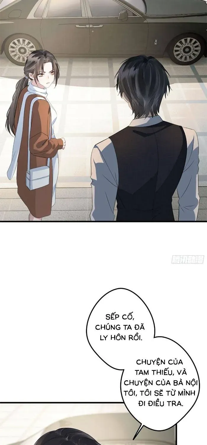 Sau Ly Hôn Chồng Cũ Cứ Muốn Trở Lại Làm Chính Thất - Chương 33 - Trang 12