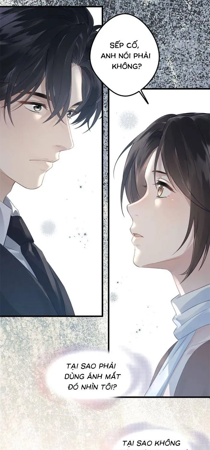 Sau Ly Hôn Chồng Cũ Cứ Muốn Trở Lại Làm Chính Thất - Chương 33 - Trang 16