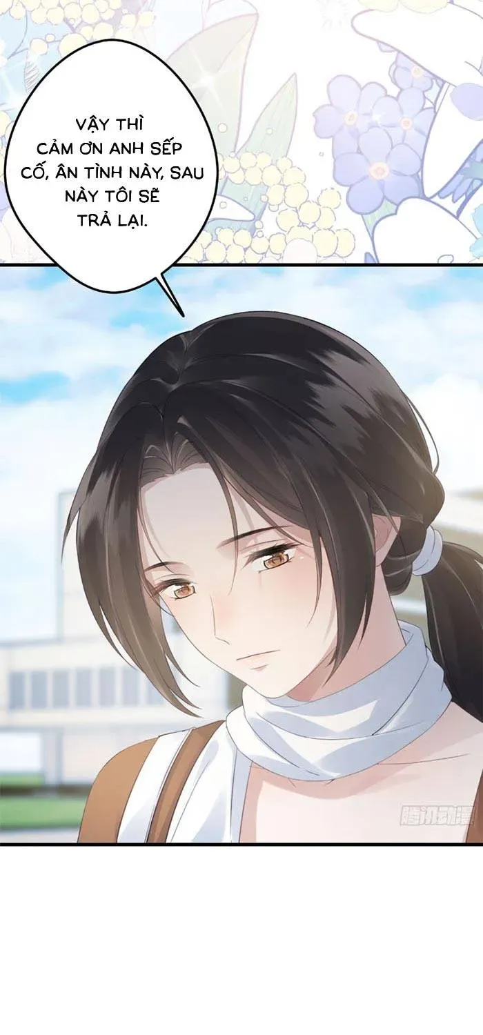 Sau Ly Hôn Chồng Cũ Cứ Muốn Trở Lại Làm Chính Thất - Chương 33 - Trang 26