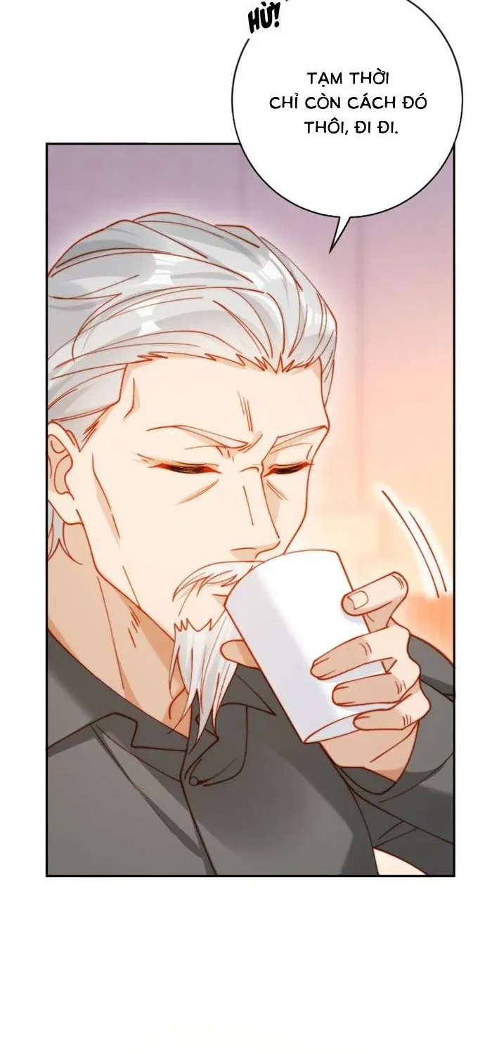 Nụ Hôn Xung Hỉ: Đại Lão Thực Vật Sống Lại Rồi! - Chương 36 - Trang 14