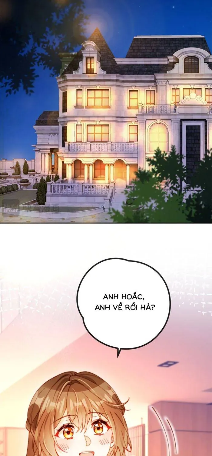 Nụ Hôn Xung Hỉ: Đại Lão Thực Vật Sống Lại Rồi! - Chương 36 - Trang 43