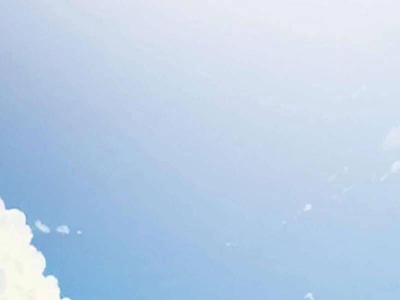 Toàn Dân Tận Thế: Ta Virus Quân Vương - Chương 3 - Trang 207