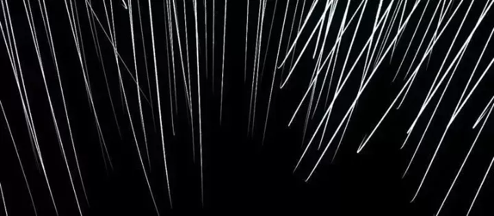 Toàn Dân Tận Thế: Ta Virus Quân Vương - Chương 88 - Trang 104