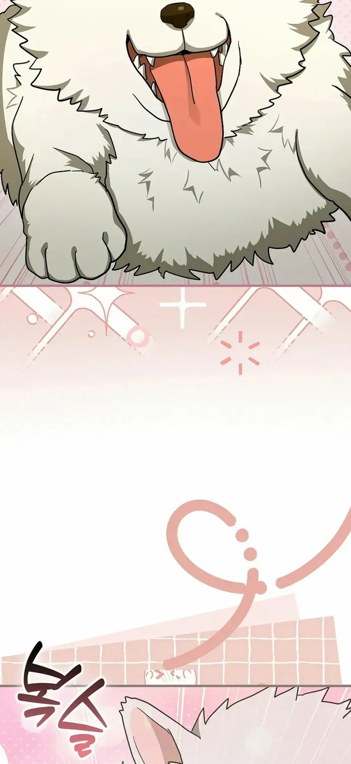 Thánh Cái Khỉ gì Đây Là Sức Mạnh Của Y Học Hiện Đại