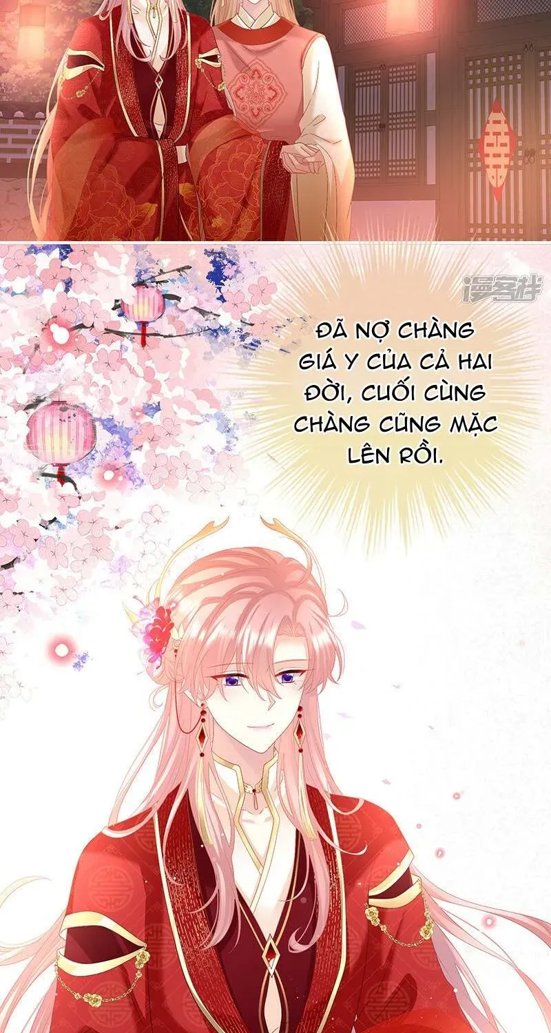 Kiều Phu Có Hỷ Chương 132 - Trang 5