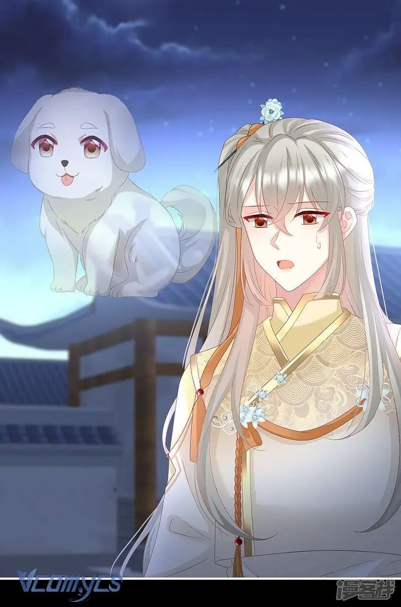 Kiều Phu Có Hỷ Chap 141 - Page 11