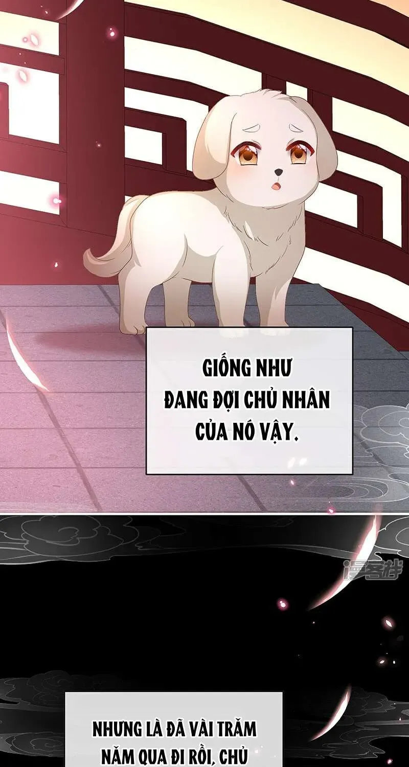 Kiều Phu Có Hỷ Chap 141 - Page 16