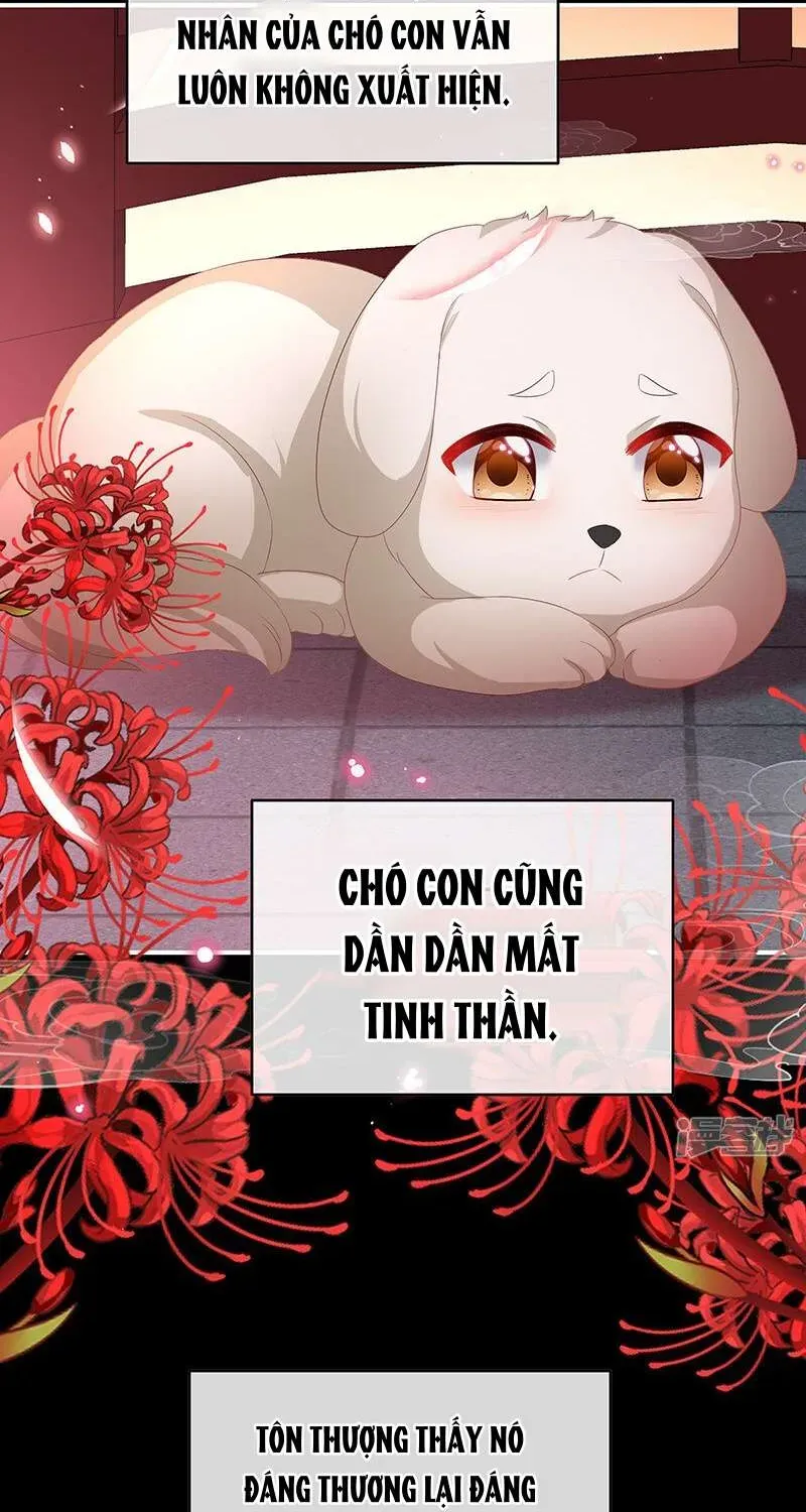 Kiều Phu Có Hỷ Chap 141 - Page 17