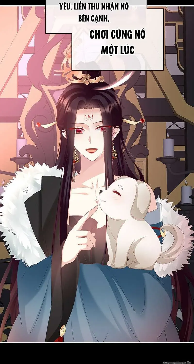 Kiều Phu Có Hỷ Chap 141 - Page 18