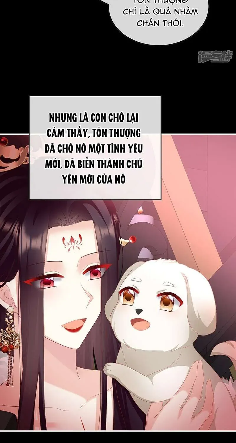 Kiều Phu Có Hỷ Chap 141 - Page 20