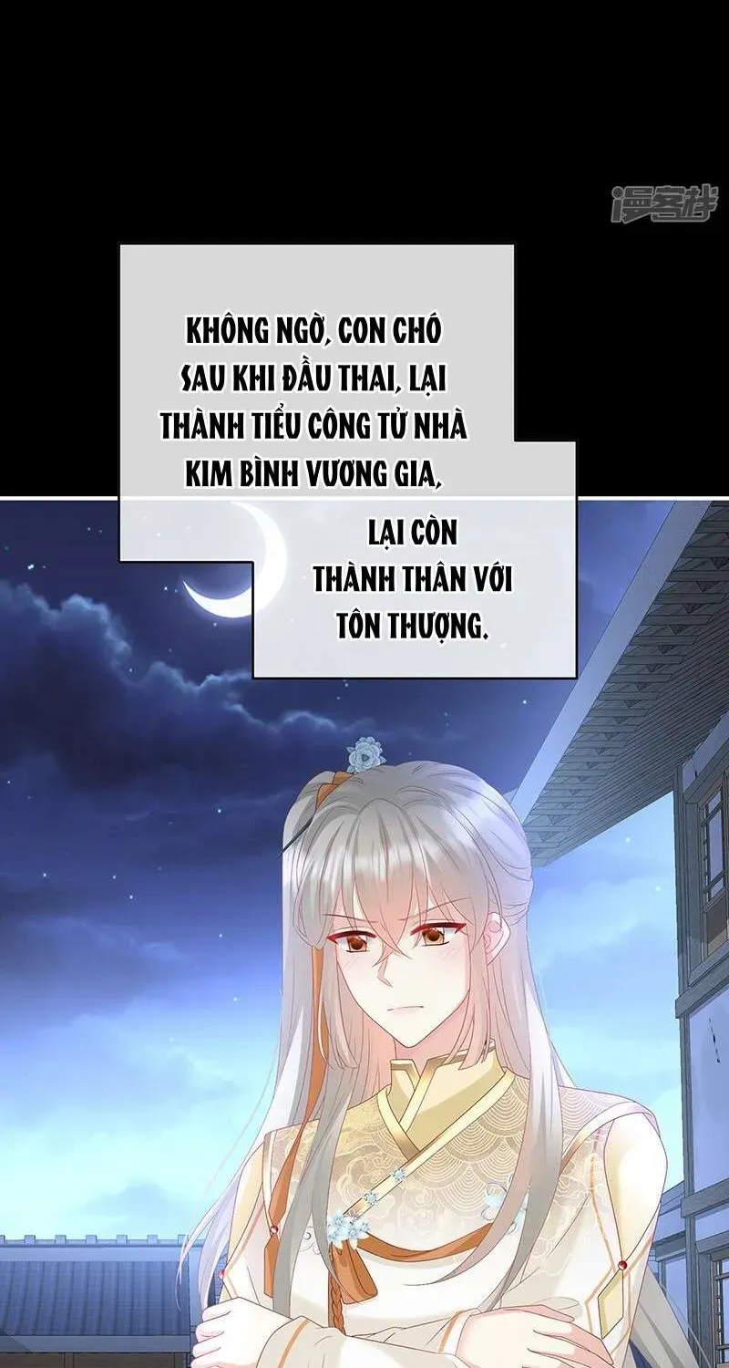 Kiều Phu Có Hỷ Chap 141 - Page 21
