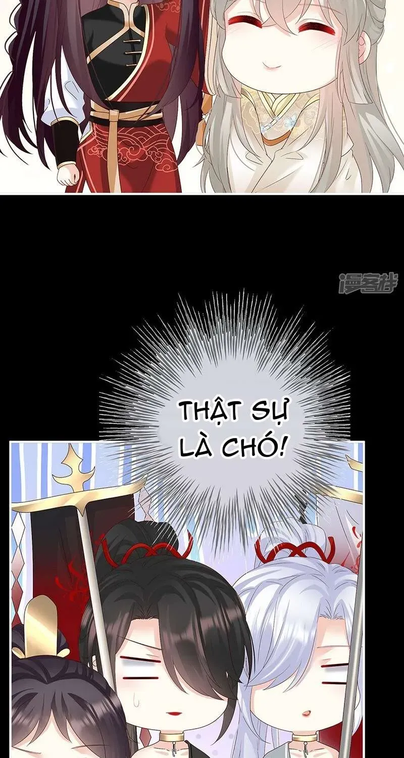 Kiều Phu Có Hỷ Chap 141 - Page 31