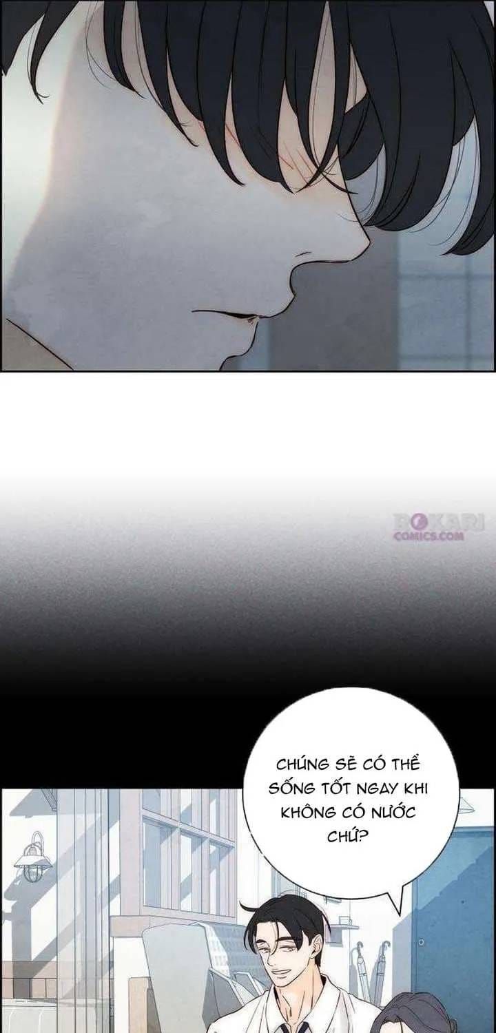 Chưa Từng Chạm Tới Em - Chương 10 - Trang 29