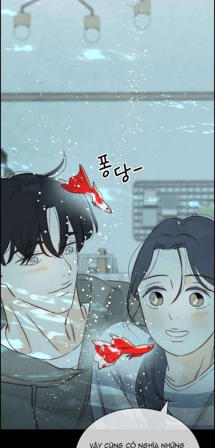 Chưa Từng Chạm Tới Em - Chương 10 - Trang 31