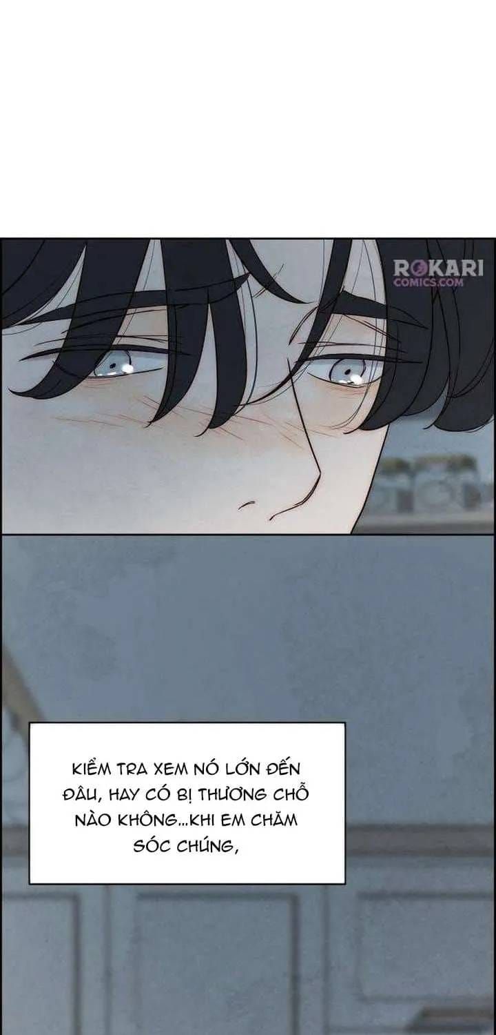 Chưa Từng Chạm Tới Em - Chương 10 - Trang 53