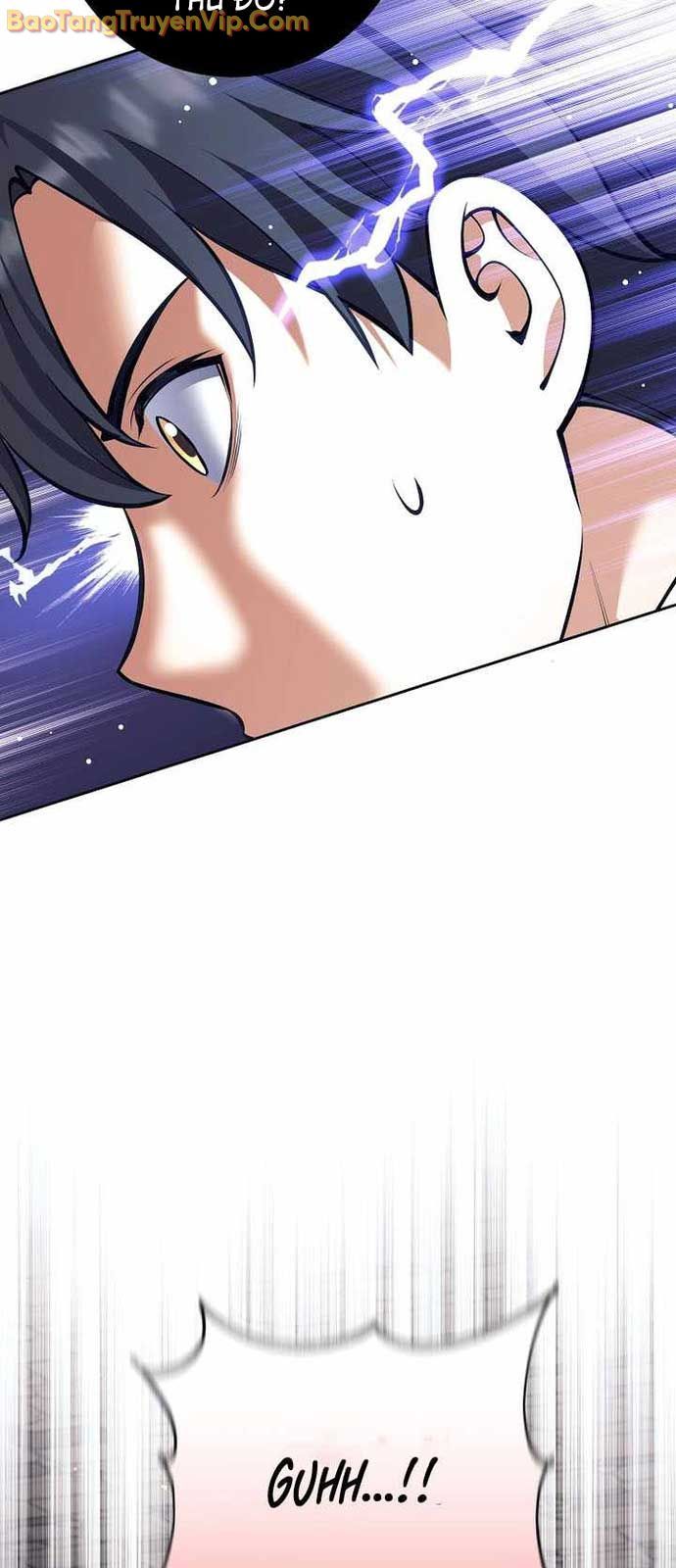 Đứa Con Ngoài Giá Thú Có Khả Năng Hấp Thụ Vũ Khí - Chương 33 - Trang 33