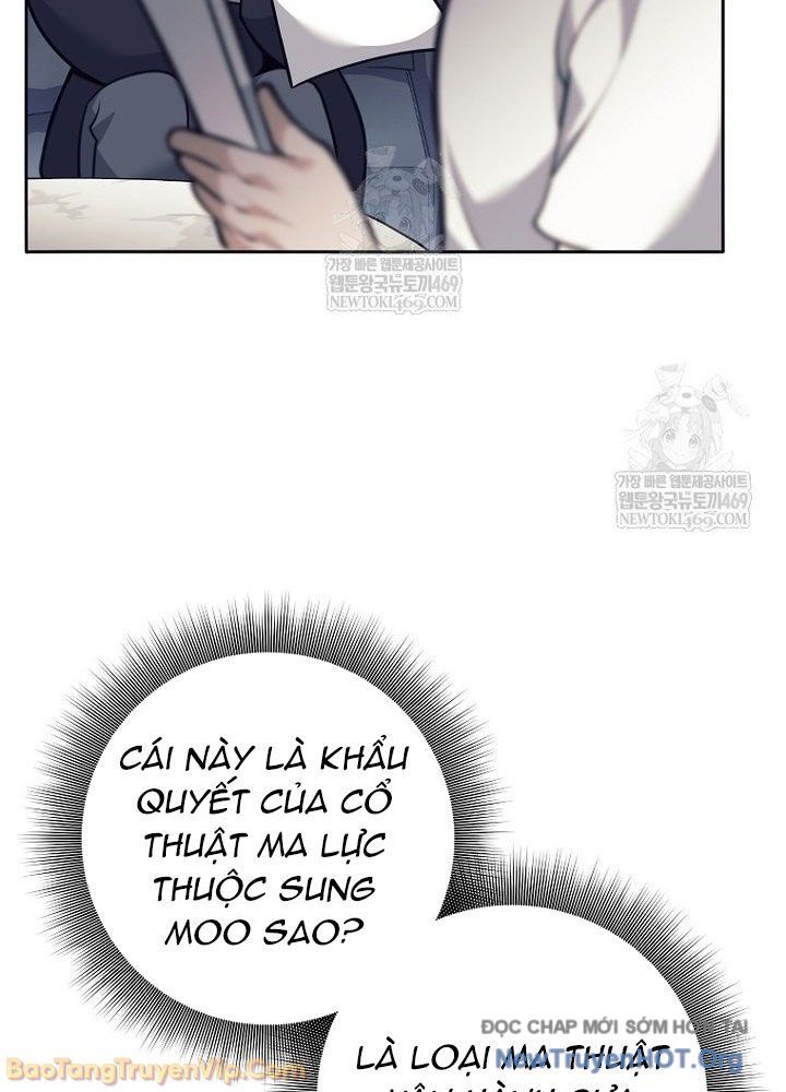 Đứa Con Ngoài Giá Thú Có Khả Năng Hấp Thụ Vũ Khí - Chương 62 - Trang 11