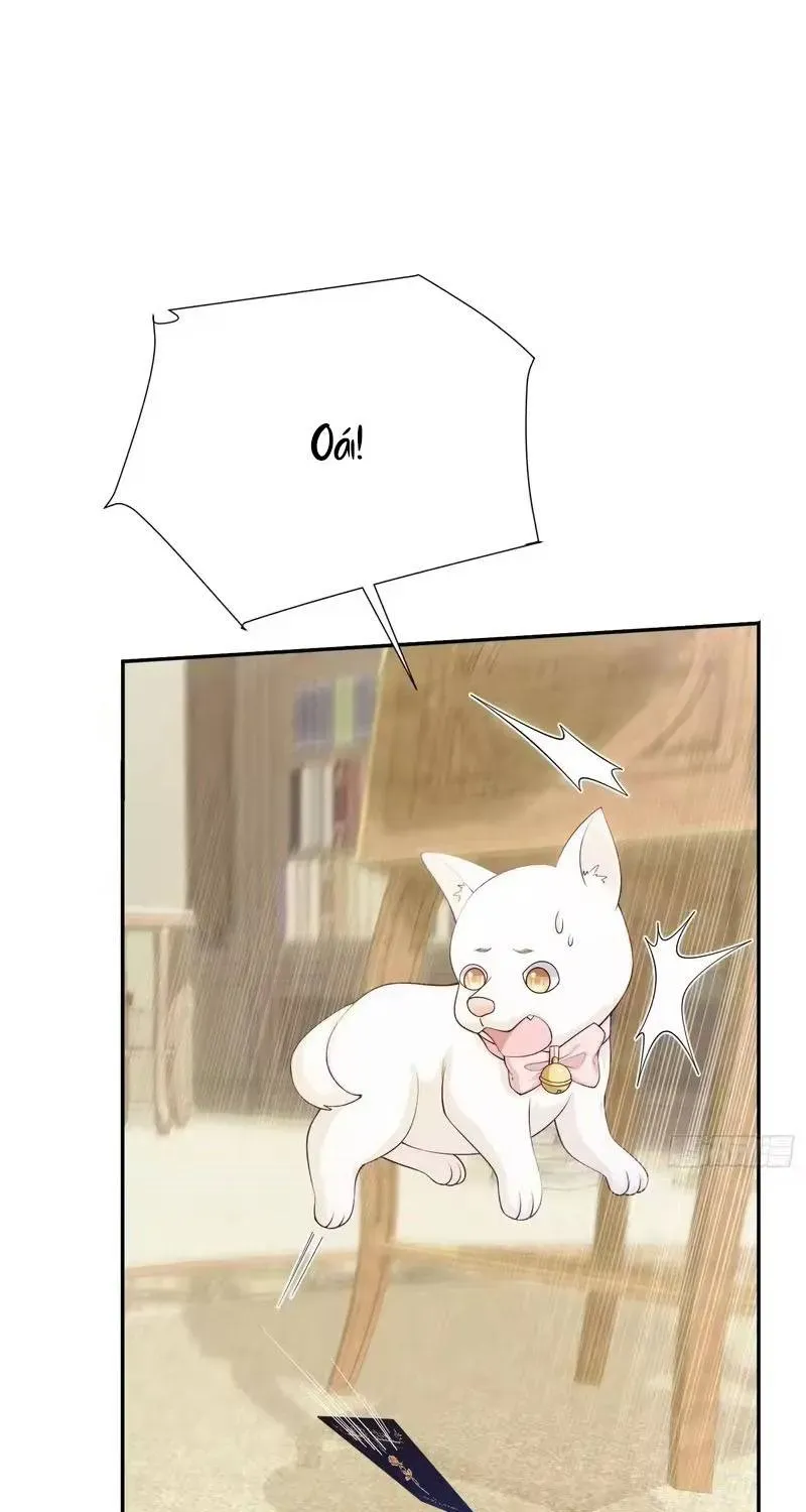 Khi Mới 3 Tuổi, Tôi Trở Thành Nữ Vương Chương 10 - Trang 34