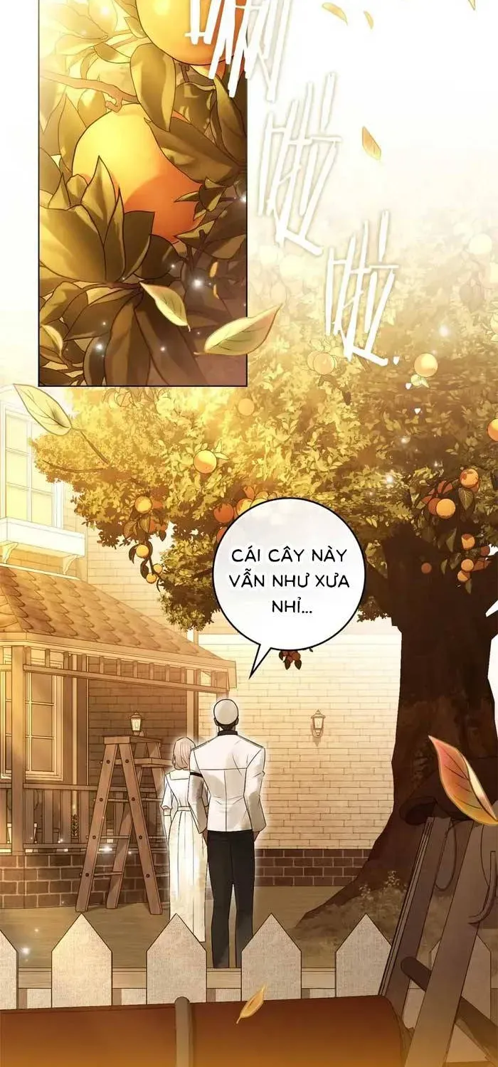 Hôn Ước Đổi Mạng - Chương 24 - Trang 12