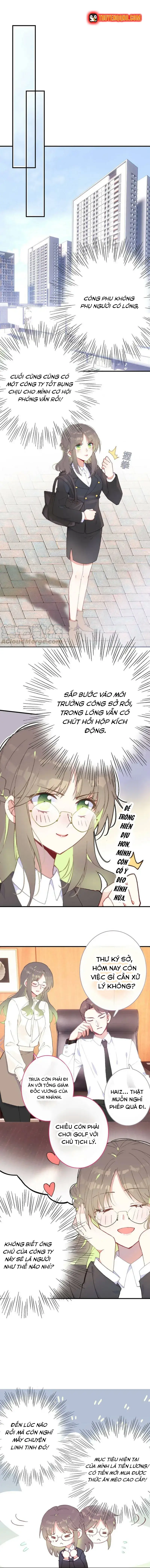 Xách Mèo Vào Ở - Chương 5 - Trang 3