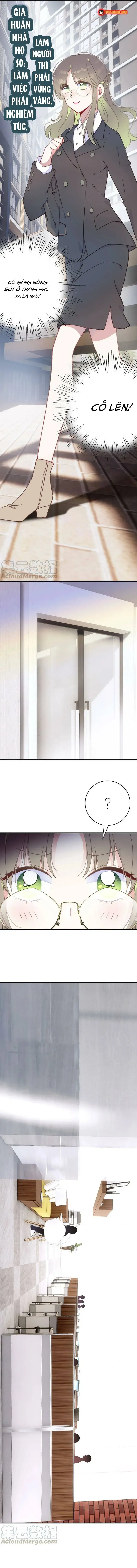 Xách Mèo Vào Ở - Chương 5 - Trang 4