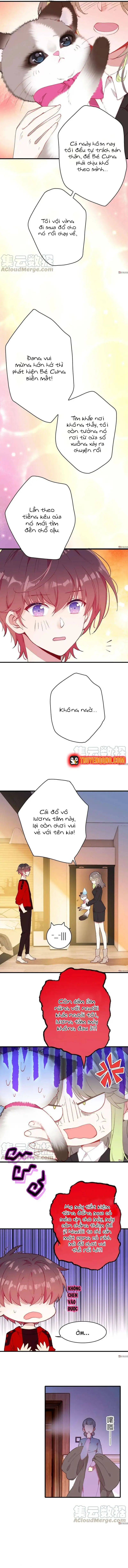 Xách Mèo Vào Ở - Chương 7 - Trang 6