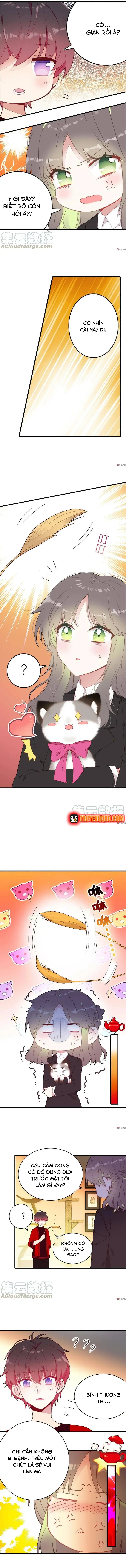 Xách Mèo Vào Ở - Chương 7 - Trang 7