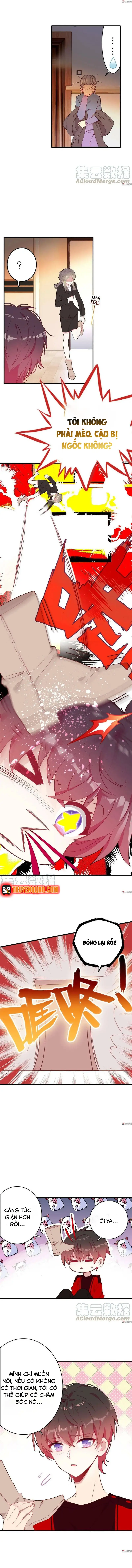 Xách Mèo Vào Ở - Chương 7 - Trang 8