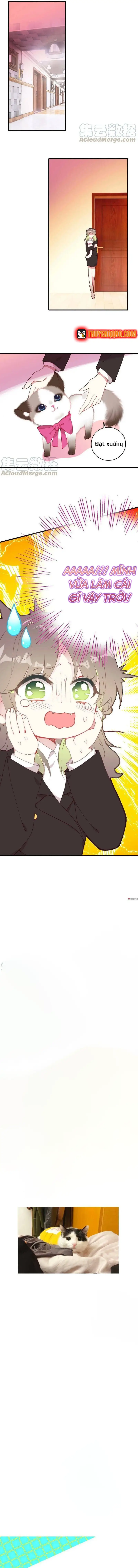 Xách Mèo Vào Ở - Chương 7 - Trang 9