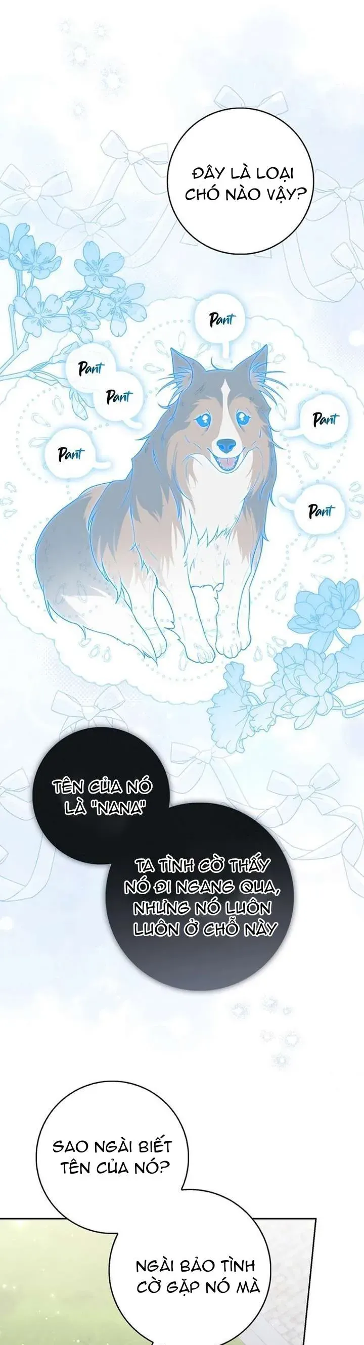 Nàng Công Chúa Tiên Tri - Chương 144 - Trang 12