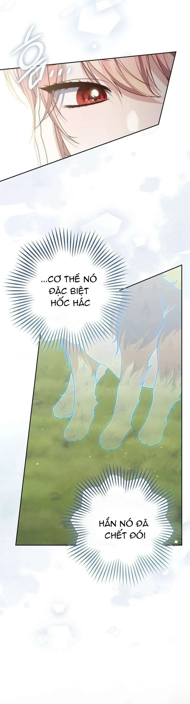 Nàng Công Chúa Tiên Tri - Chương 144 - Trang 14