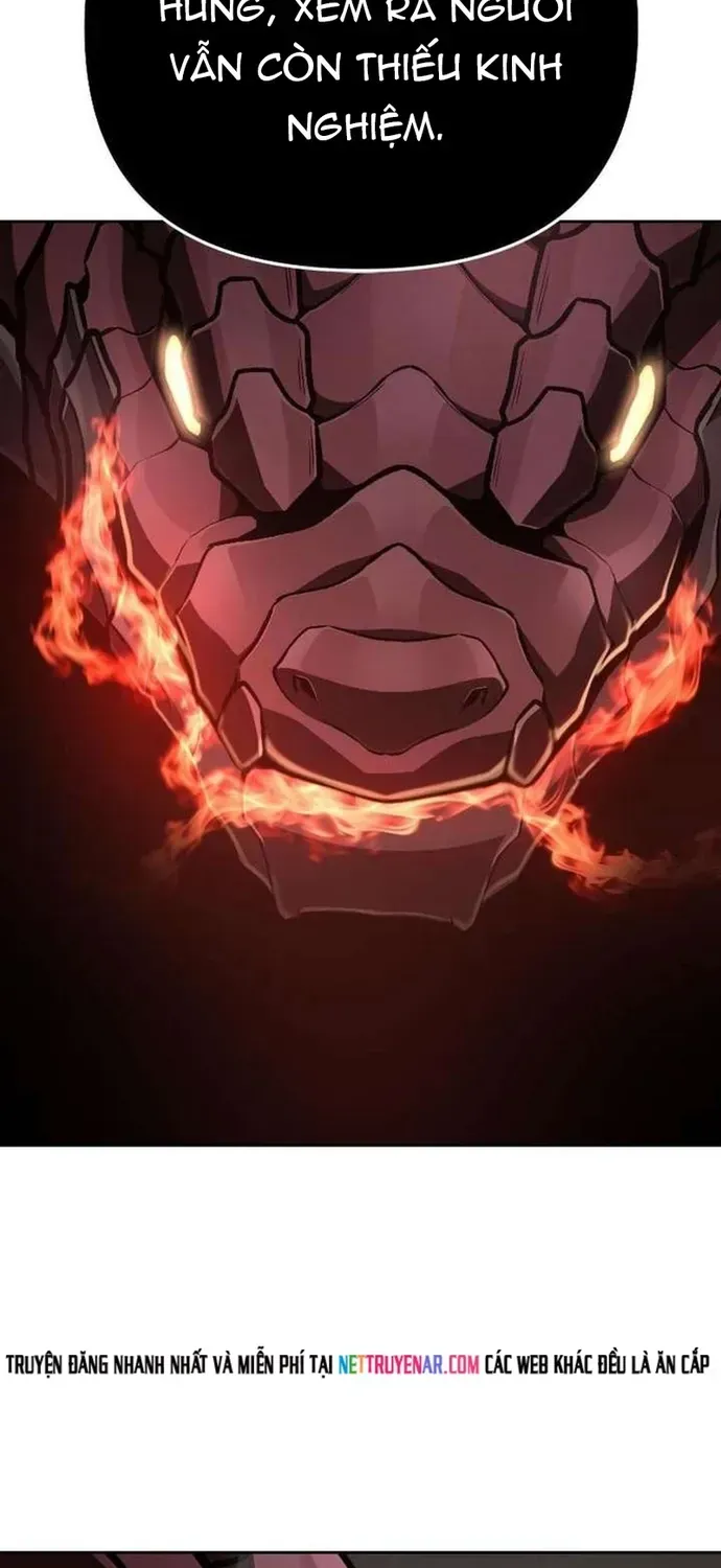 Anh Hùng Của Chúng Ta Làm Gì?