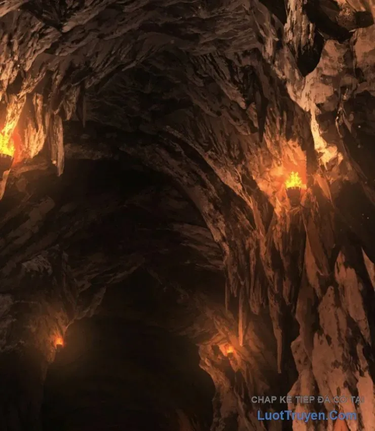 Sự Trở Lại Của Thiên Tài Ranker Chương 11 - Trang 24