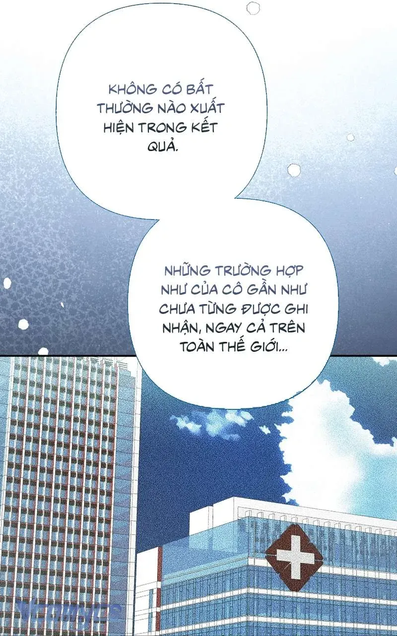 Các Nam Chính Đã Bị Nữ Phụ Cướp Mất