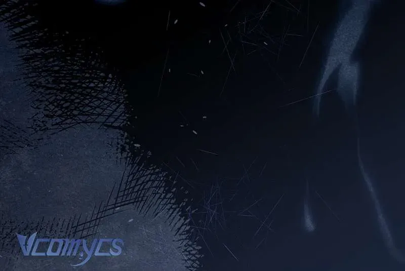 Các Nam Chính Đã Bị Nữ Phụ Cướp Mất