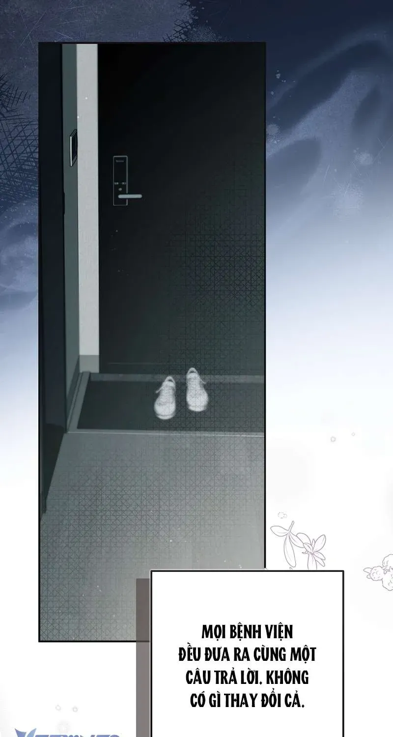 Các Nam Chính Đã Bị Nữ Phụ Cướp Mất