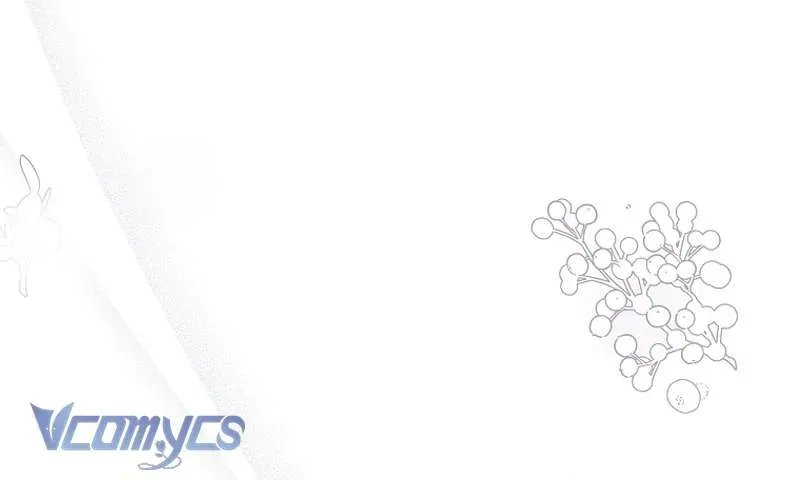 Các Nam Chính Đã Bị Nữ Phụ Cướp Mất