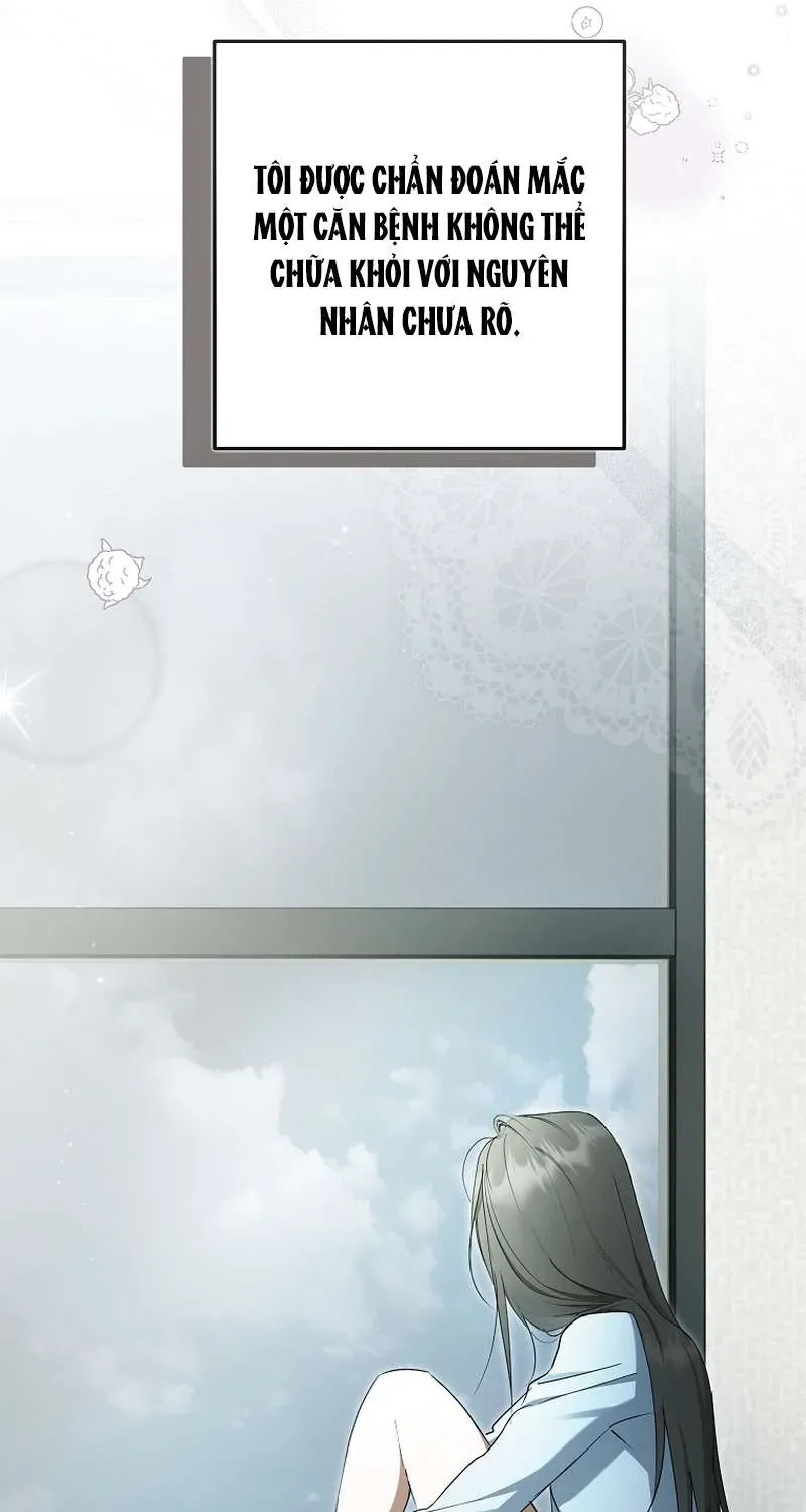 Các Nam Chính Đã Bị Nữ Phụ Cướp Mất